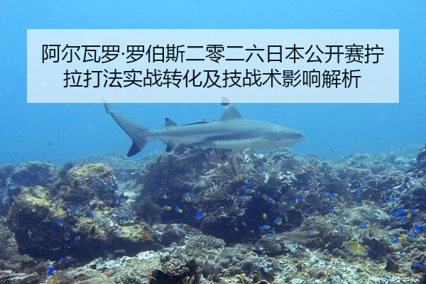 阿尔瓦罗·罗伯斯二零二六日本公开赛拧拉打法实战转化及技战术影响解析